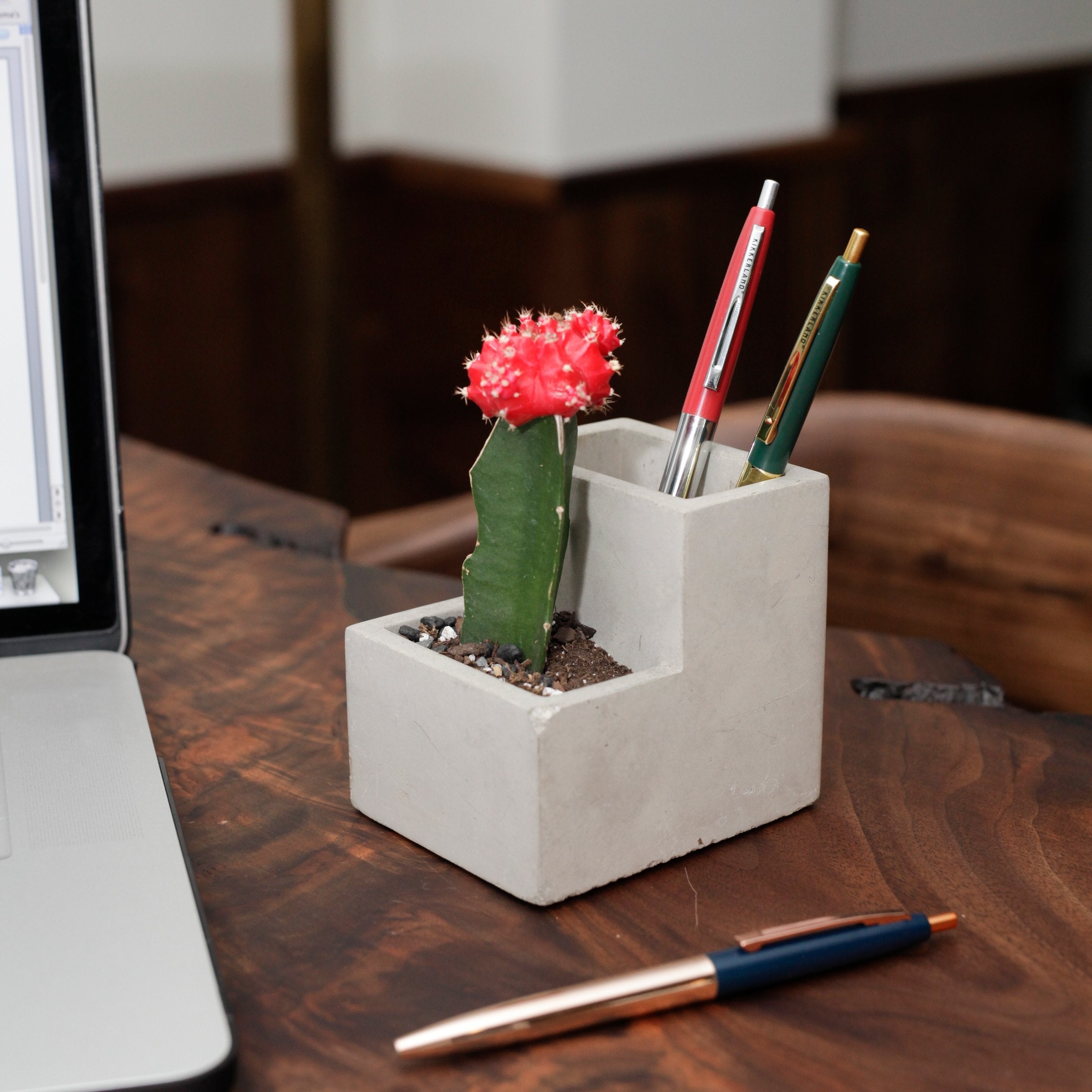 Kikkerland Concrete Desktop Planter Small