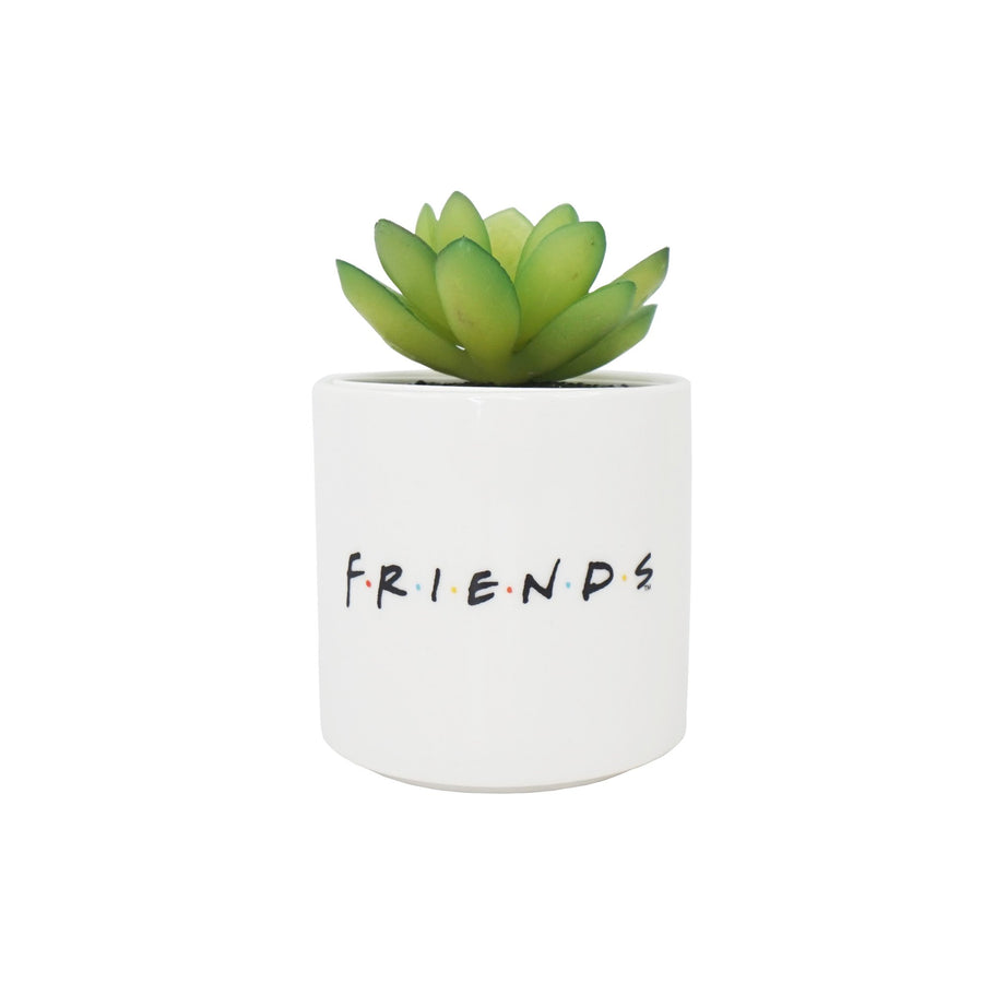 Halfmoon Bay Plant Pot Faux Boxed 6.5Cm Friends Central Perk