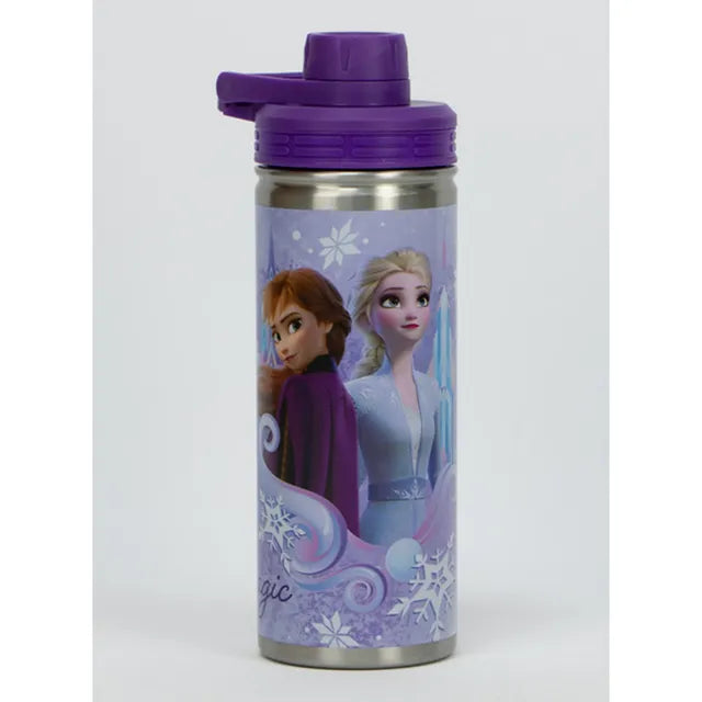 Frozen SS Water Bottle - Single Wall, Pp Lid - 620 Ml