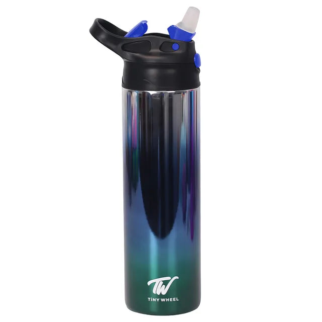 Reflective Stainless Steel Bottle Blue 530ml
