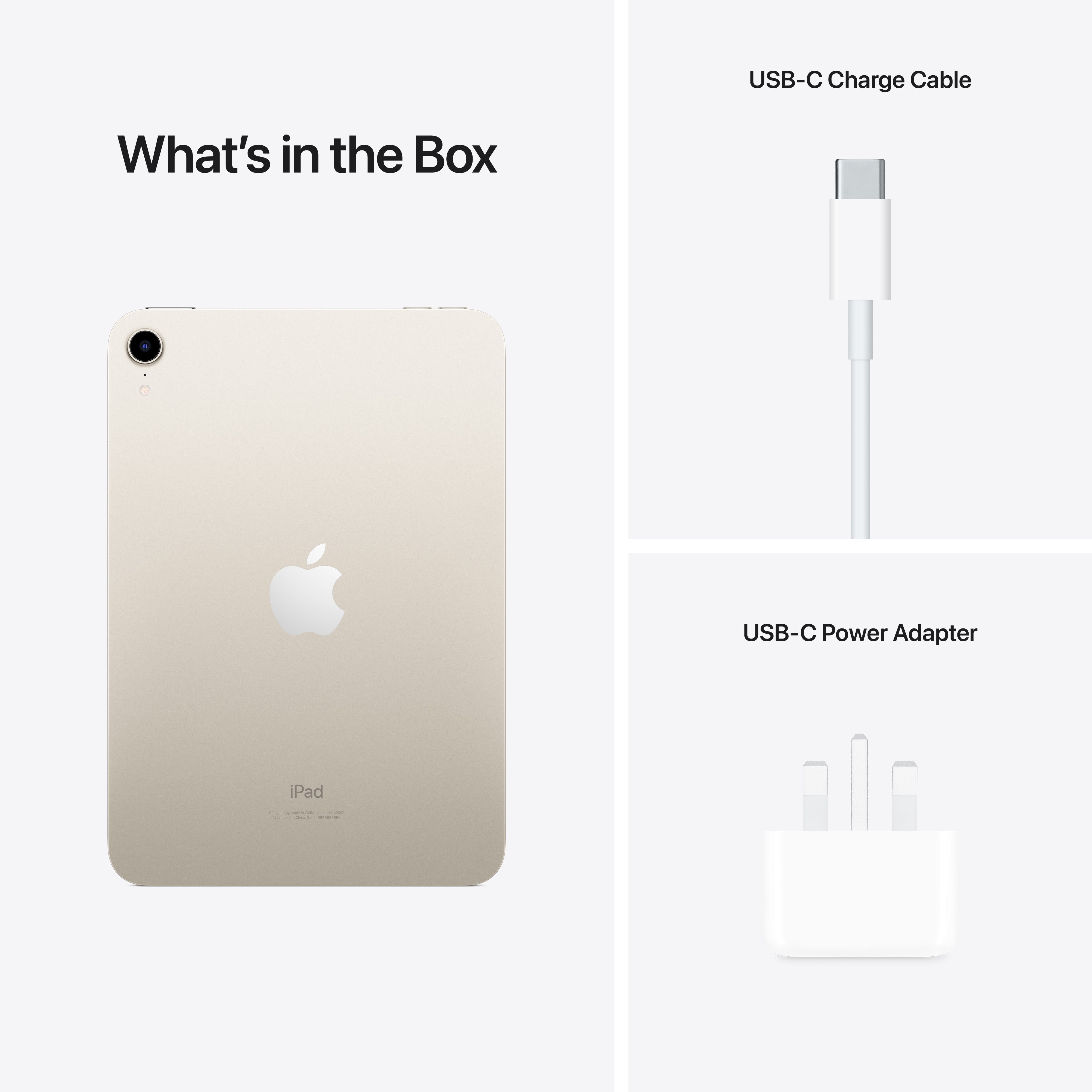 iPad mini Wi-Fi 256GB - Starlight