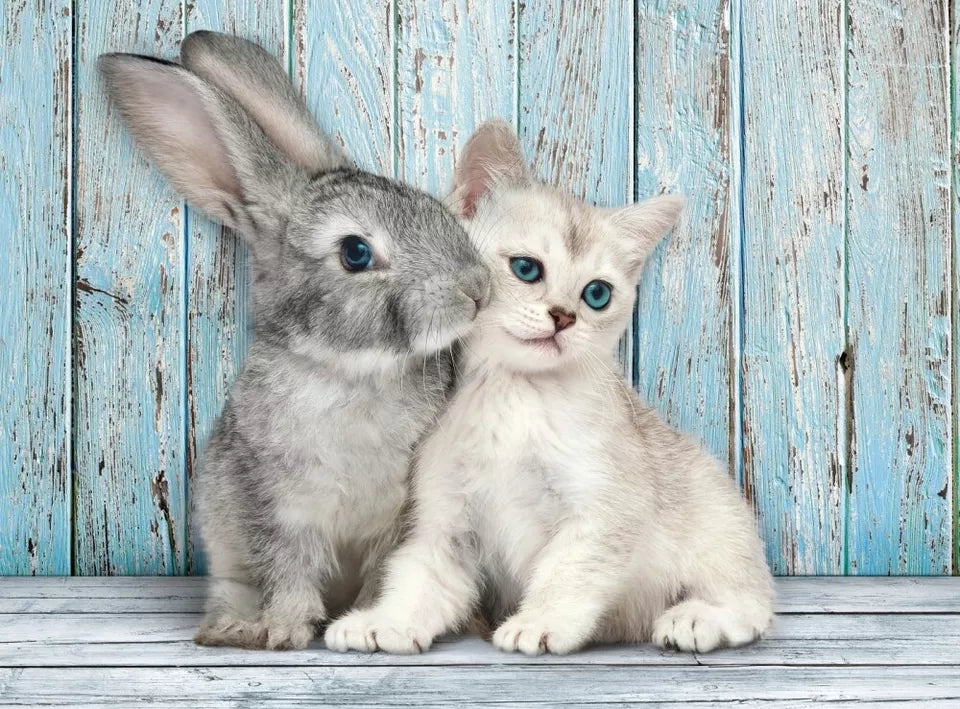 Clementoni Puzzle Hqc Cat&Bunny 500Pcs
