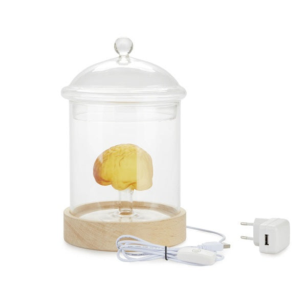 Balvi Table Lamp Brain Glass