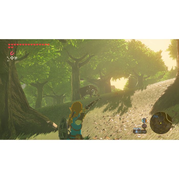 ZELDA BREATH WILD UP