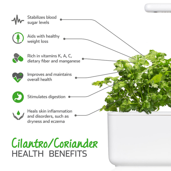 Click & Grow Seeds Coriander
